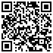 手机/微信访问网站